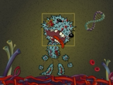 Into the Flesh illustrated creature surrounded by DNA, blood cells, and anatomical forms